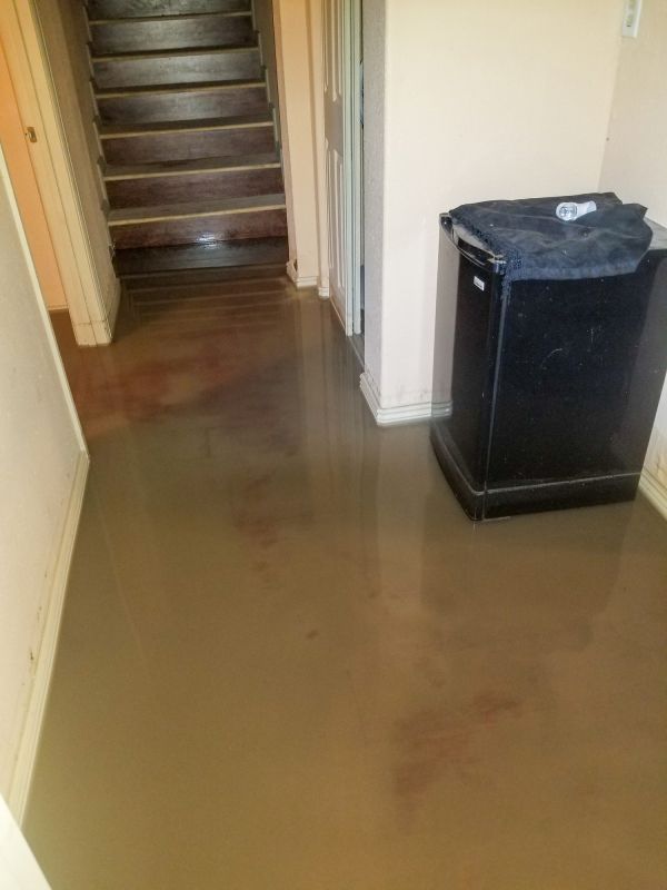 Basement Water Removal in Napa, CA