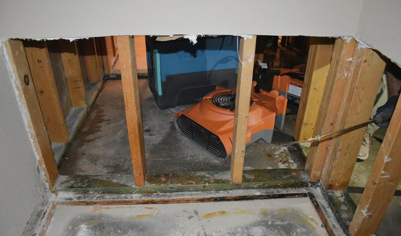 Crawl Space Water Remediation in Wilmington, NC