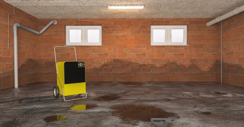 Crawl Space Water Remediation in Chandler, AZ