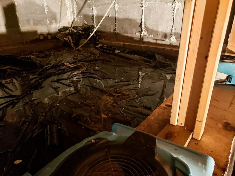 Crawlspace Water Cleanup in Phoenix, AZ