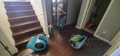 Flood Restoration Service in Chandler, AZ