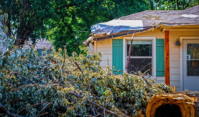 Roof Storm Damage Remediation in Alpharetta, GA