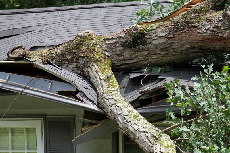 Storm Recovery Service in Chandler, AZ
