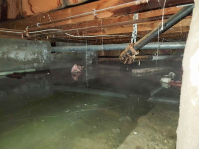 Storm Remediation in Mesa, AZ