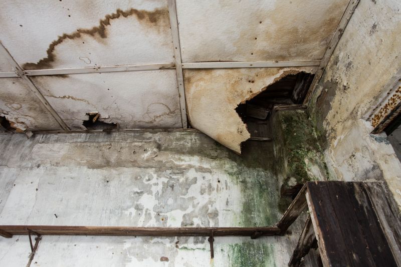 Water Damage Mitigation in Phoenix, AZ