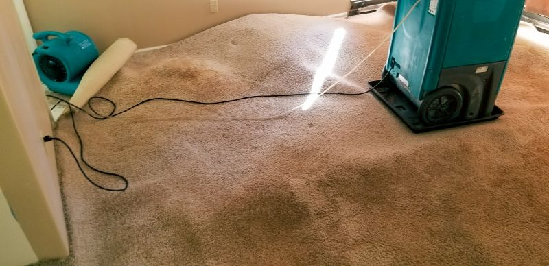 Wet Carpet Drying in Phoenix, AZ