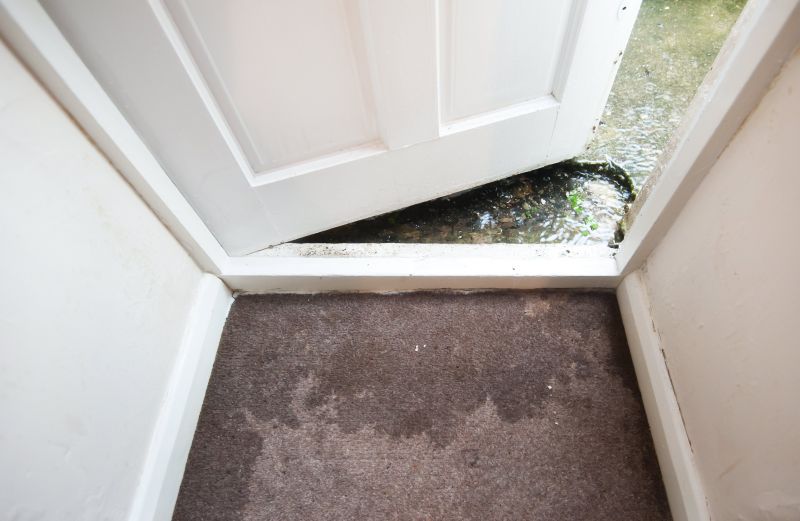 Wet Carpet Restoration in Phoenix, AZ
